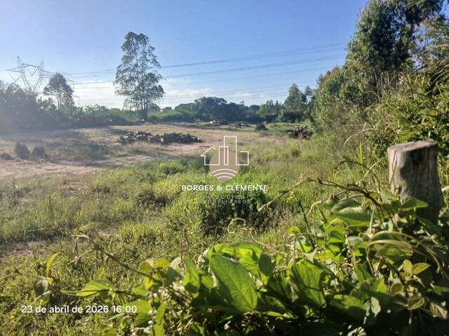 Área para Venda em Mairiporã - 4