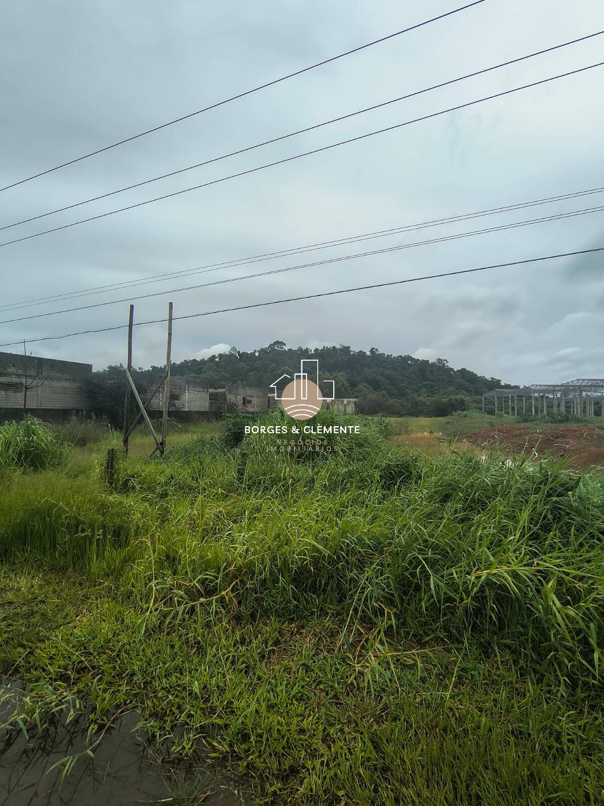 Prédio Inteiro, 5000 m² - Foto 5