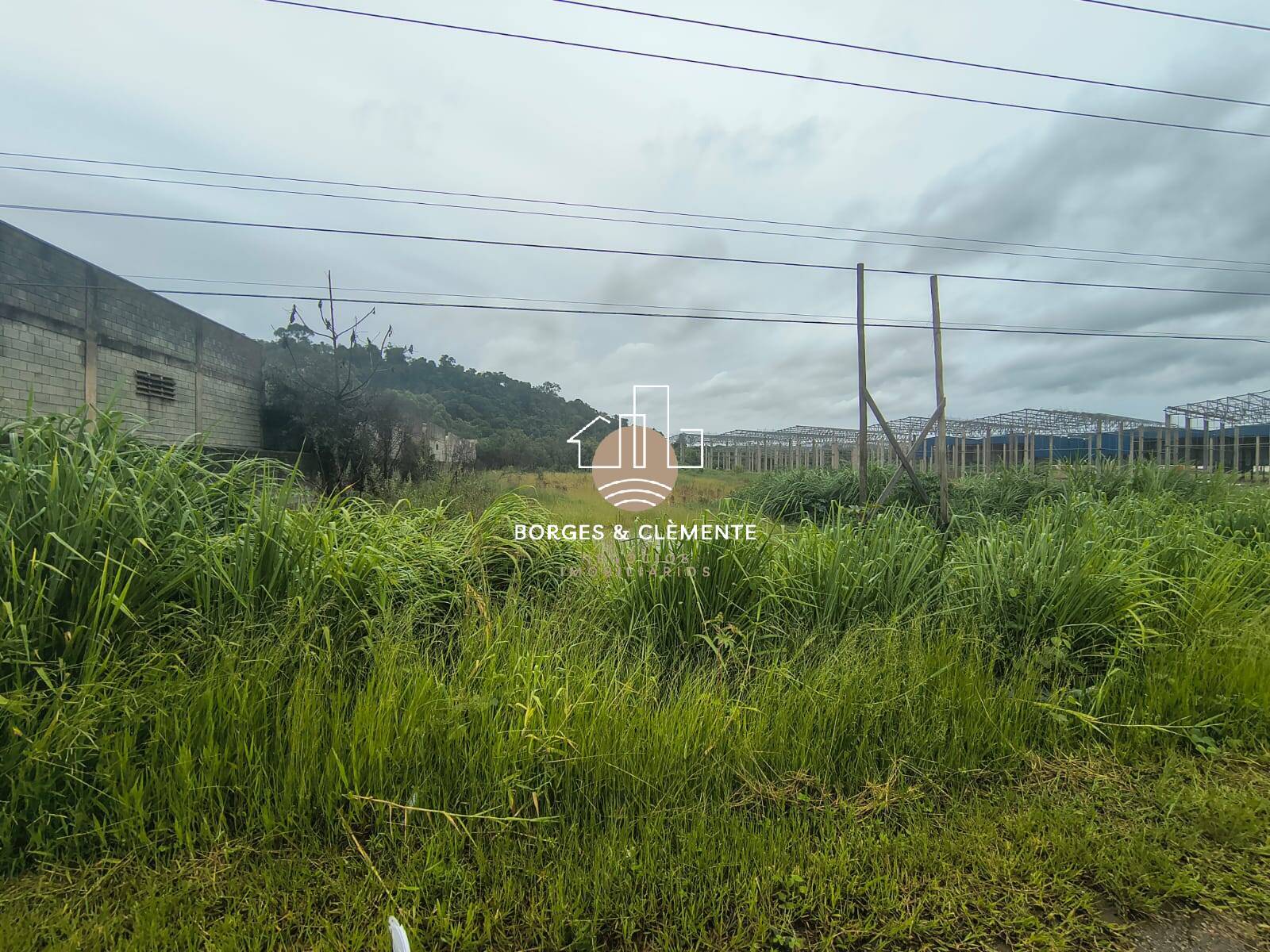 Prédio Inteiro, 5000 m² - Foto 9