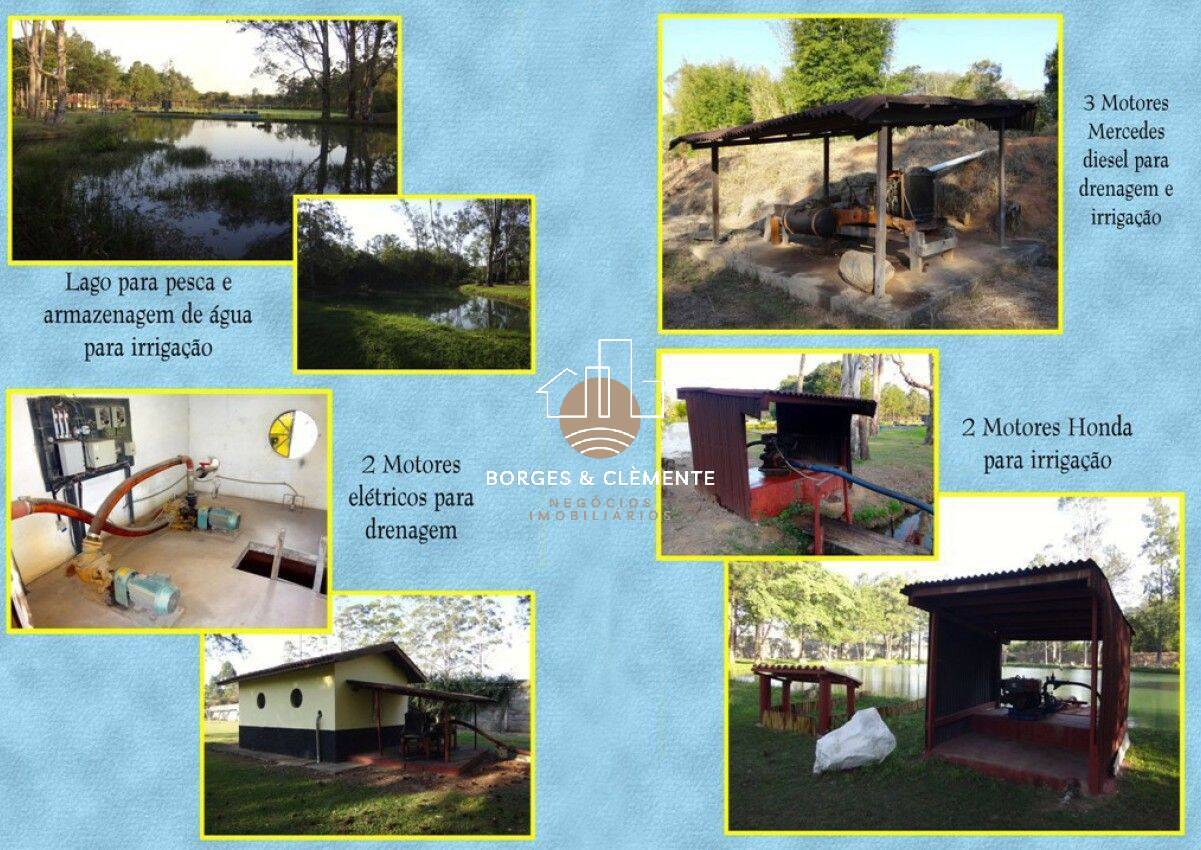 Casa, 10 quartos, 1200 m² - Foto 10