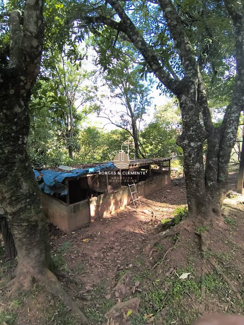 Casa, 3 quartos, 600 m² - Foto 3