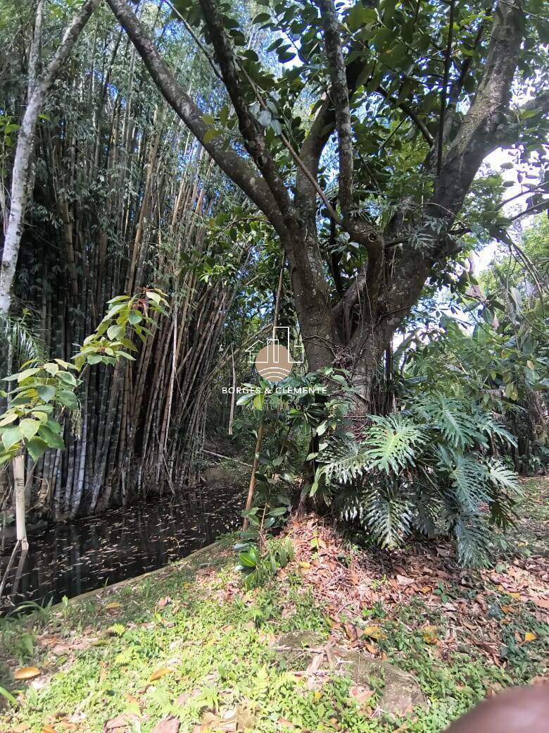 Casa, 3 quartos, 600 m² - Foto 114