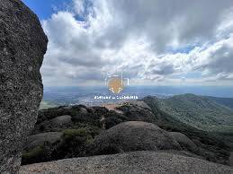 Prédio Inteiro, 5000 m² - Foto 16