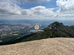 Prédio Inteiro, 5000 m² - Foto 14