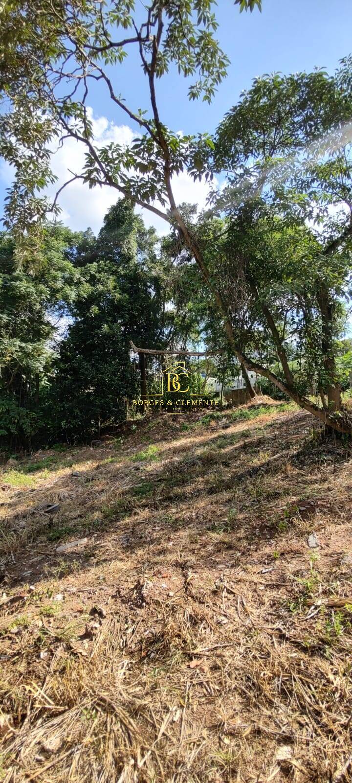 Terreno, 1196 m² - Foto 6