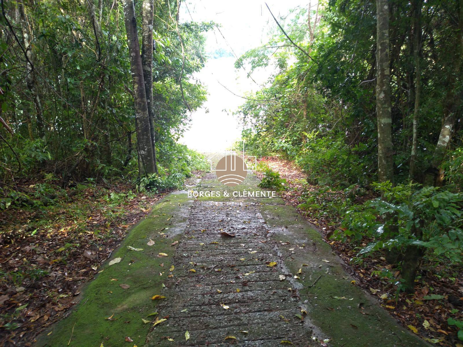 Casa, 4 quartos, 200 m² - Foto 11