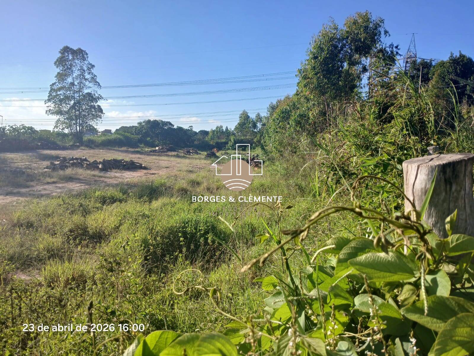 Terreno, 2 hectares - Foto 3