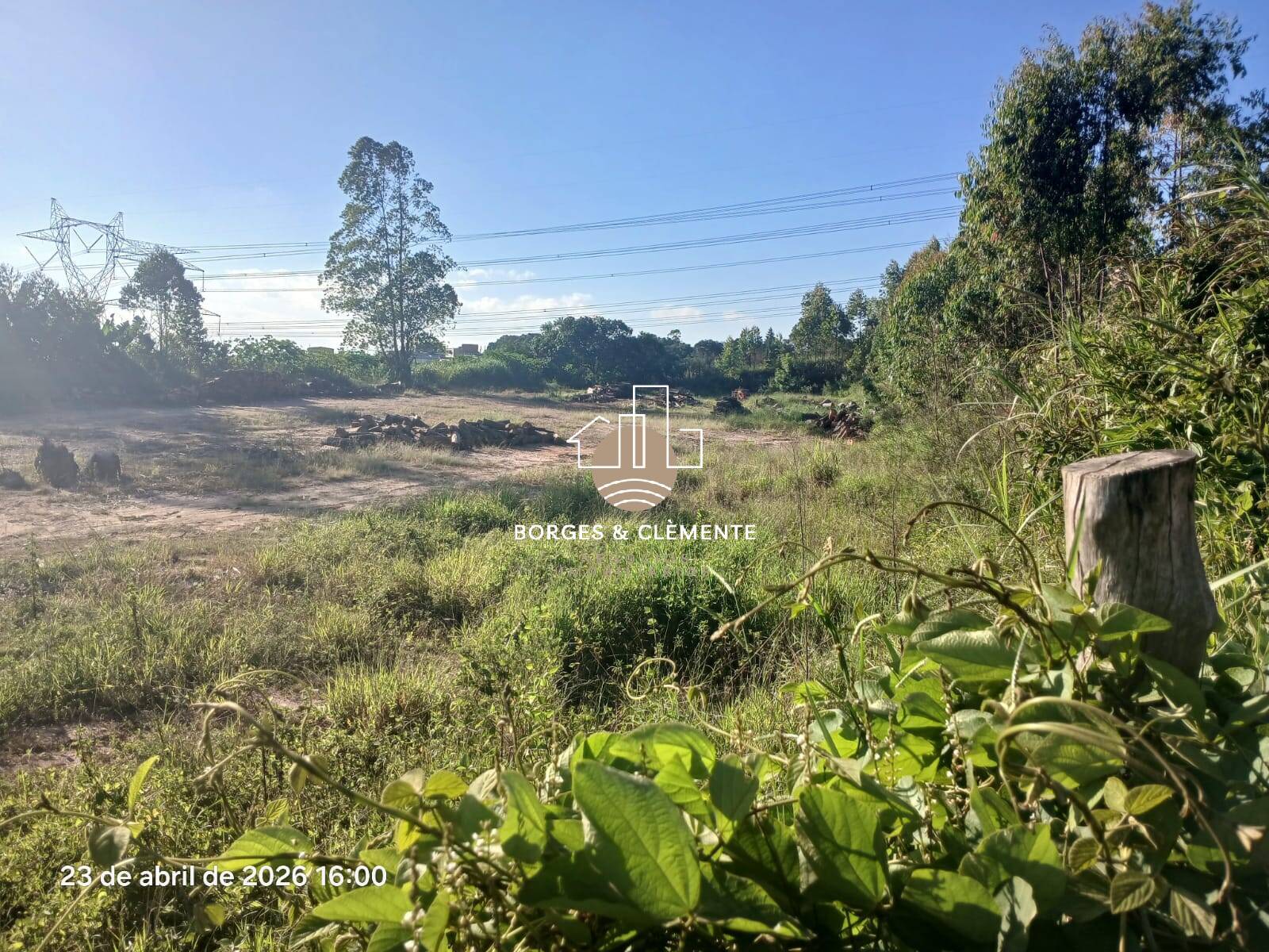Terreno, 2 hectares - Foto 6