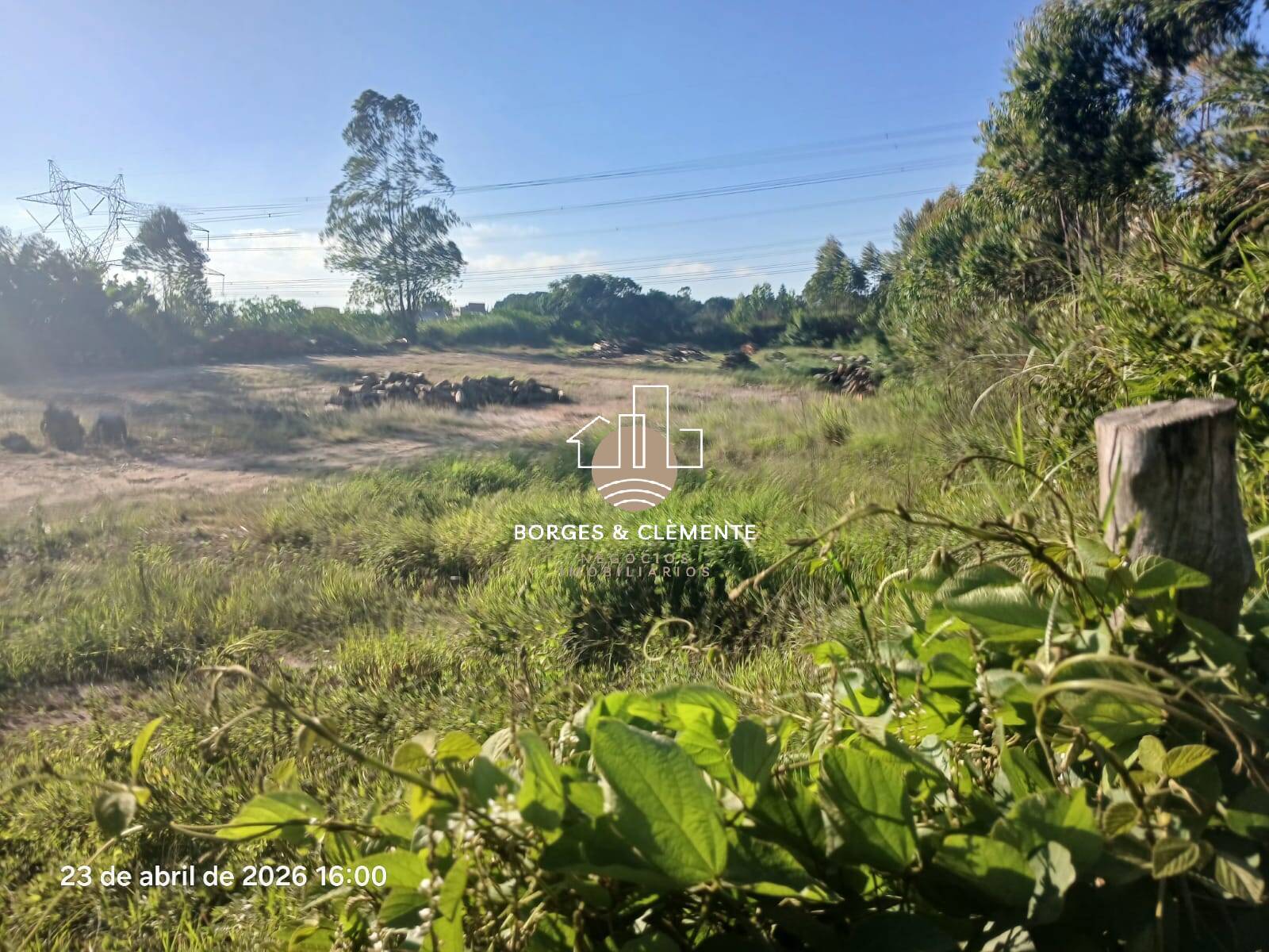 Terreno, 2 hectares - Foto 4